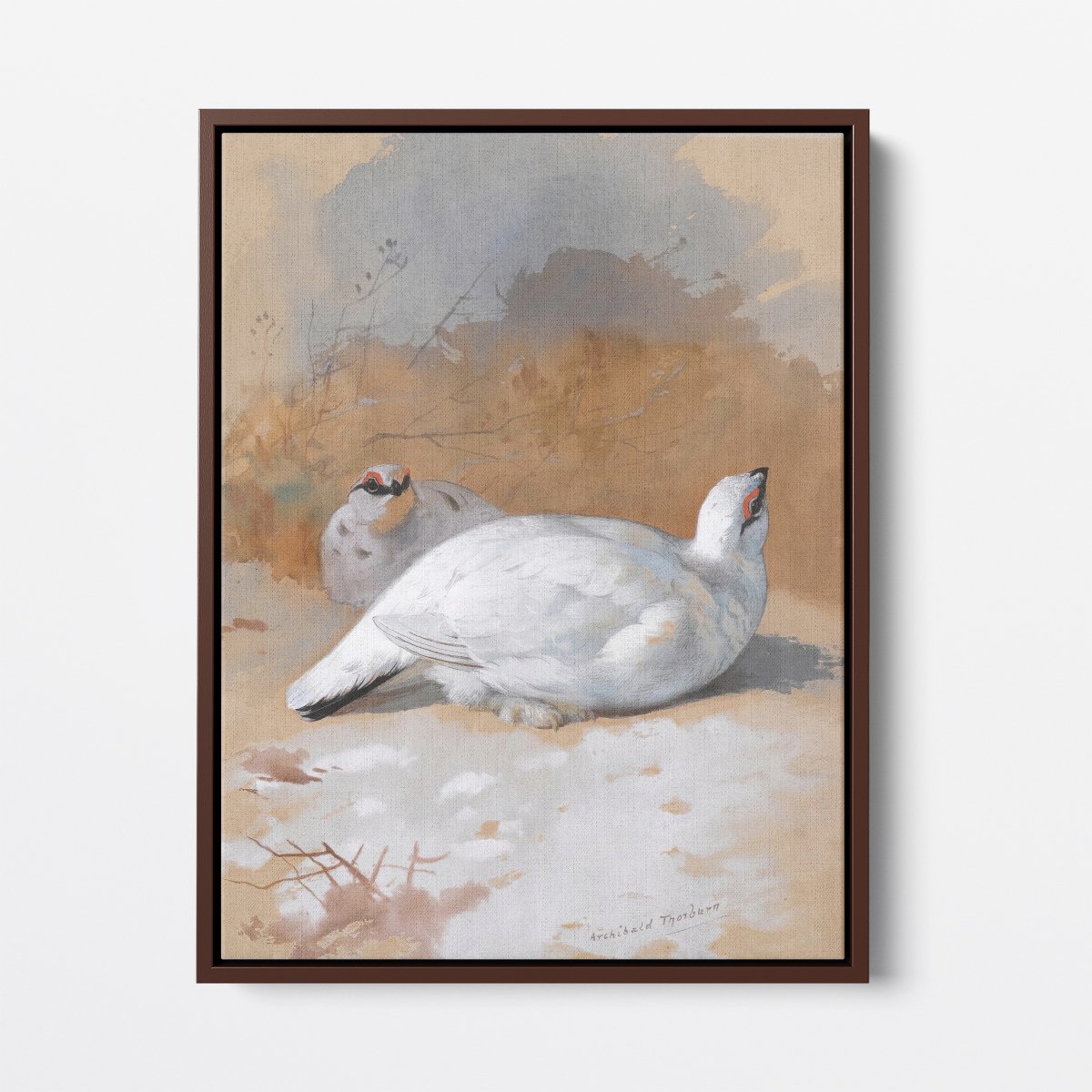 A Brace Of Ptarmigan In The Snow | Archibald Thorburn | Ave Legato Art Prints