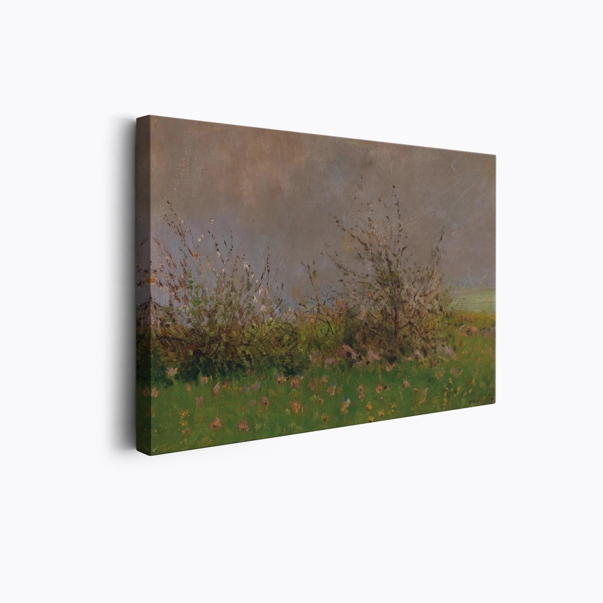 A Flower Meadow | Ladislav Mednyánszky | Ave Legato Art Prints