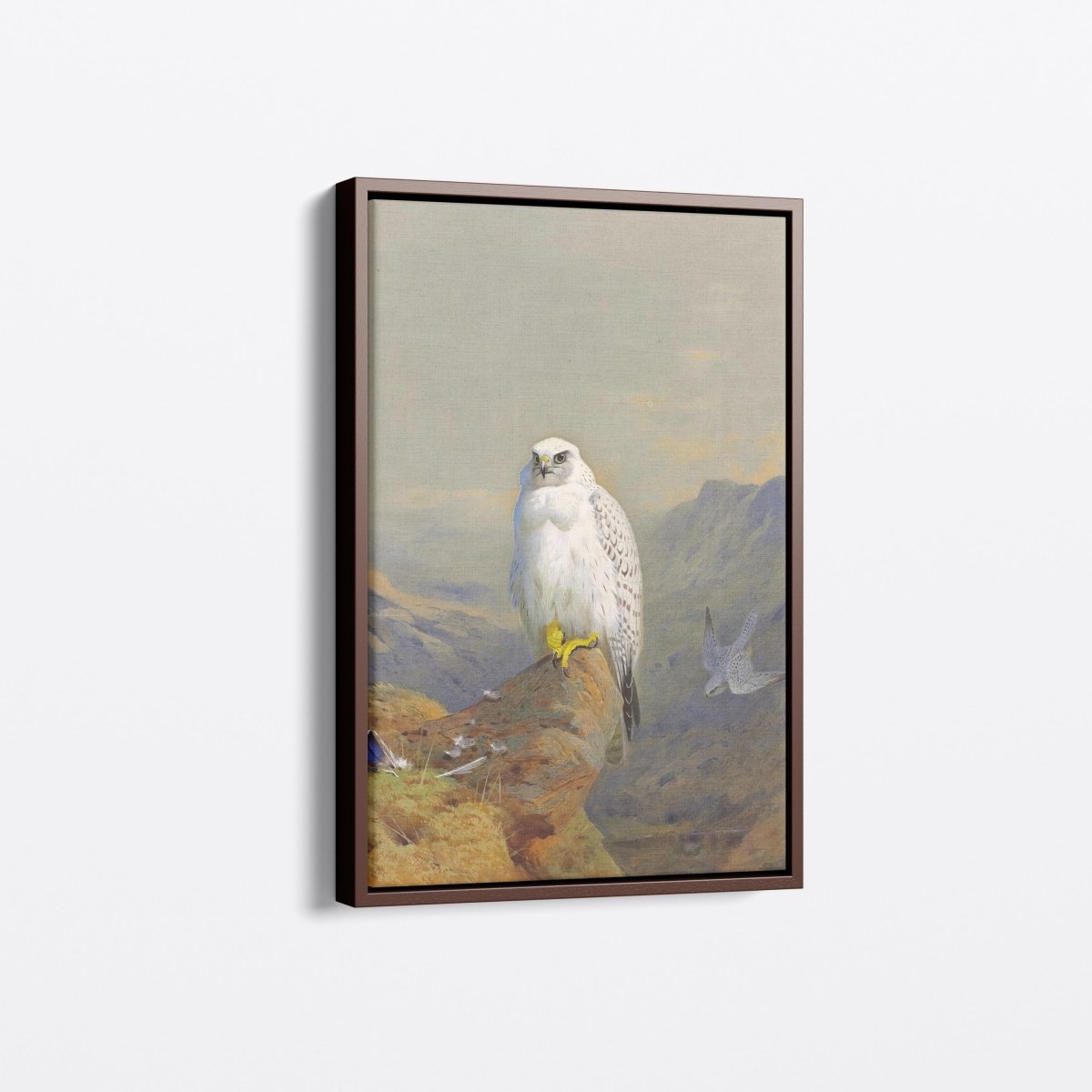 A Greenland Falcon on a Rocky Outcrop | Archibald Thorburn | Ave Legato Art Prints