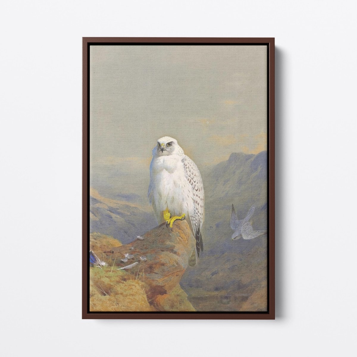 A Greenland Falcon on a Rocky Outcrop | Archibald Thorburn | Ave Legato Art Prints