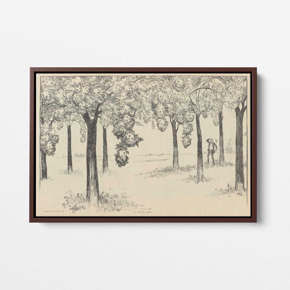 A Peach Crop | Charles Dana Gibson | Ave Legato Art Prints