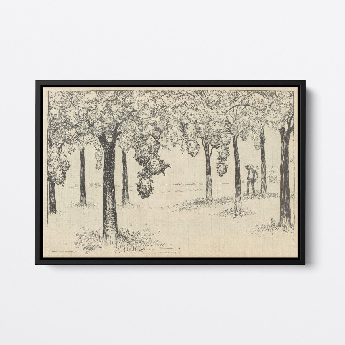 A Peach Crop | Charles Dana Gibson | Ave Legato Art Prints