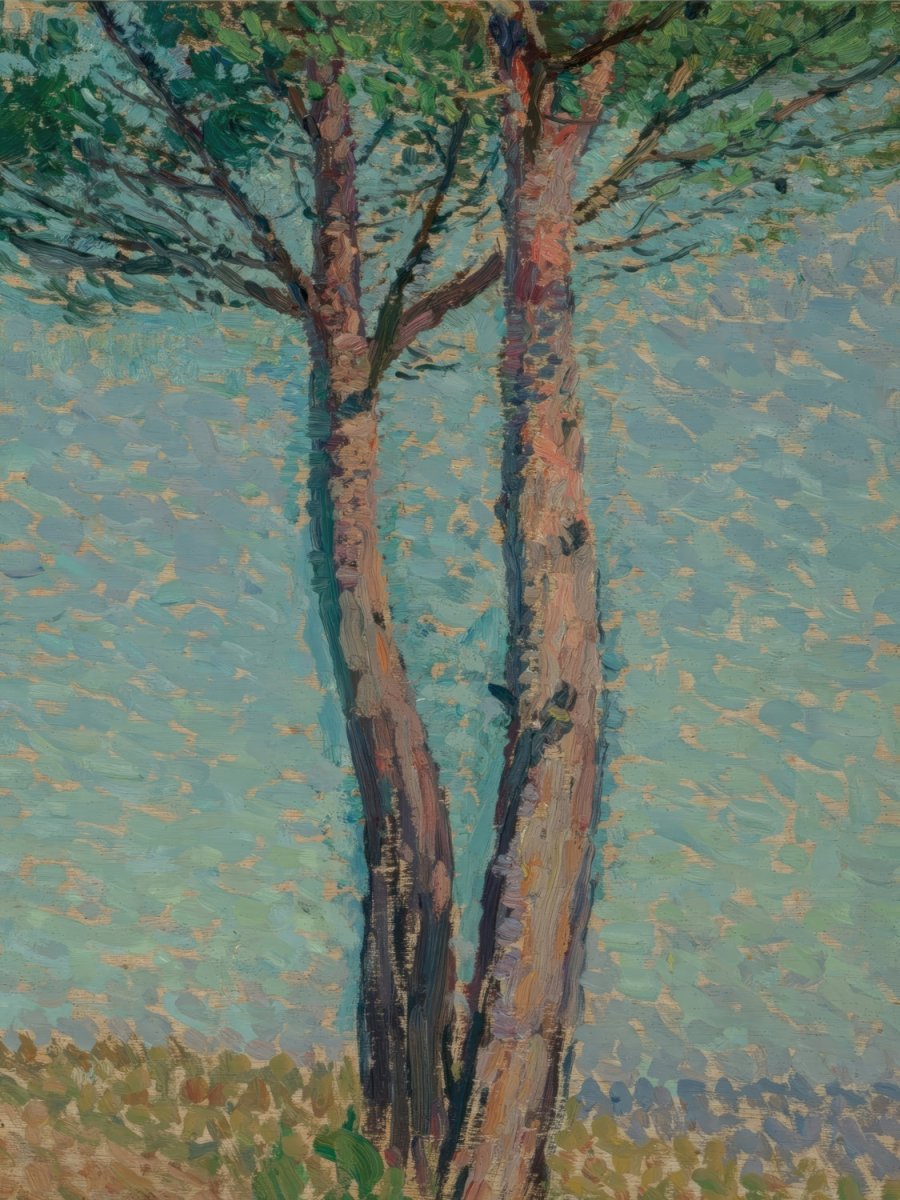 A Pine Tree | Henri Martin | Ave Legato Art Prints