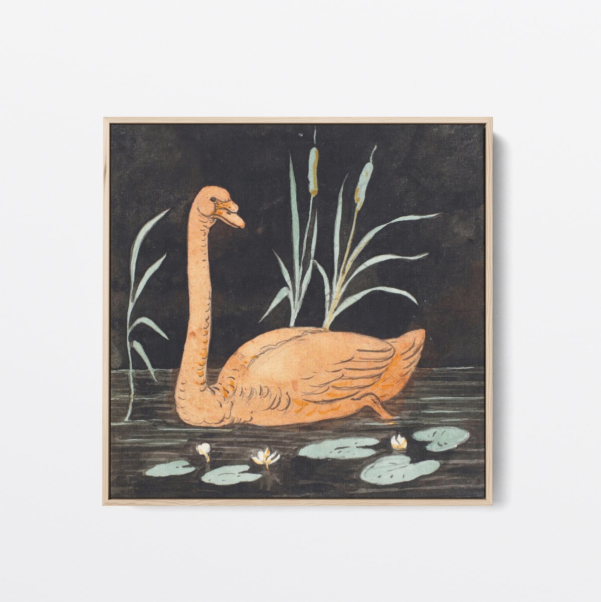 A Swan on a Black Background | P.C. Skovgaard | Ave Legato Art Prints