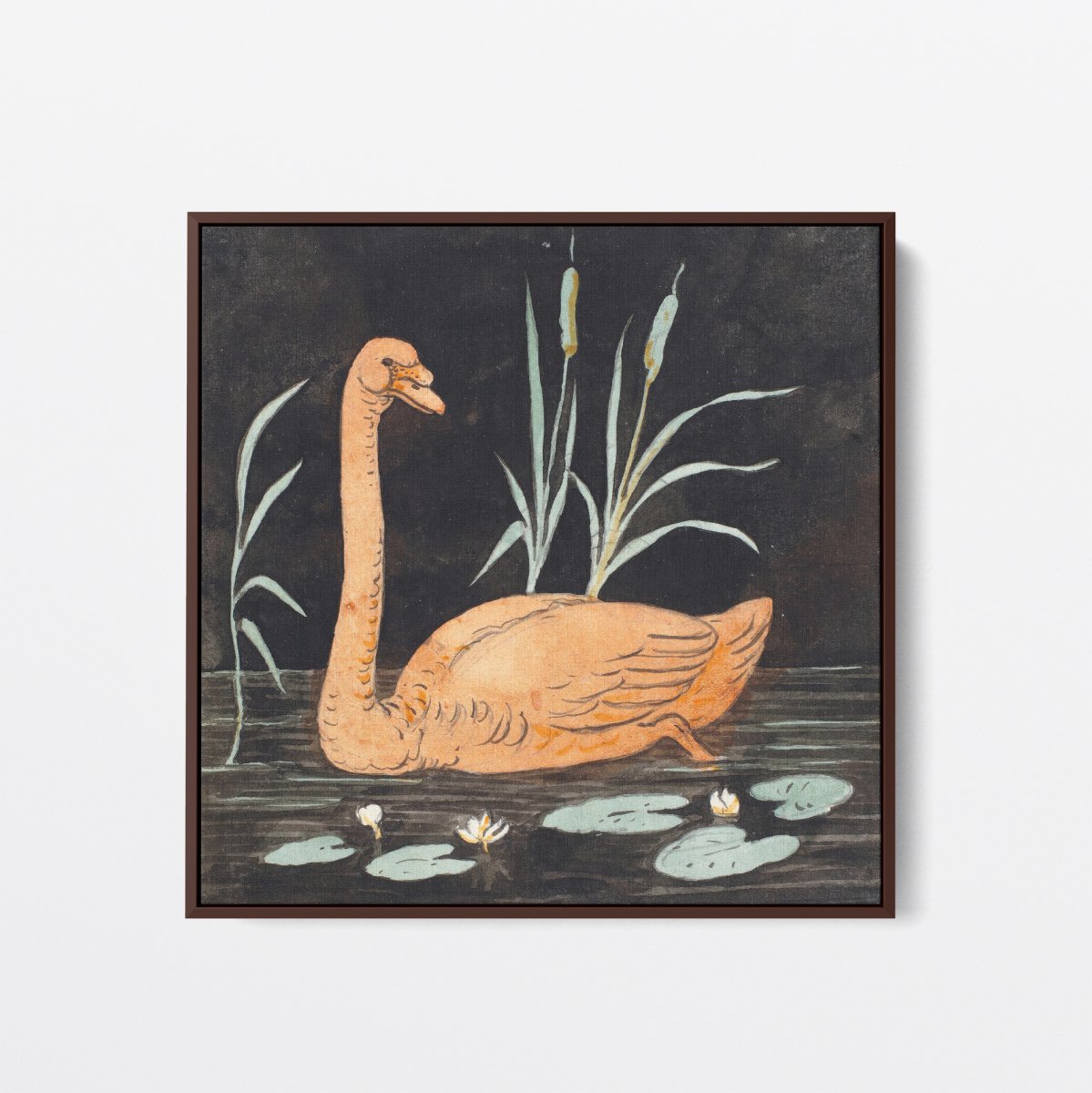 A Swan on a Black Background | P.C. Skovgaard | Ave Legato Art Prints