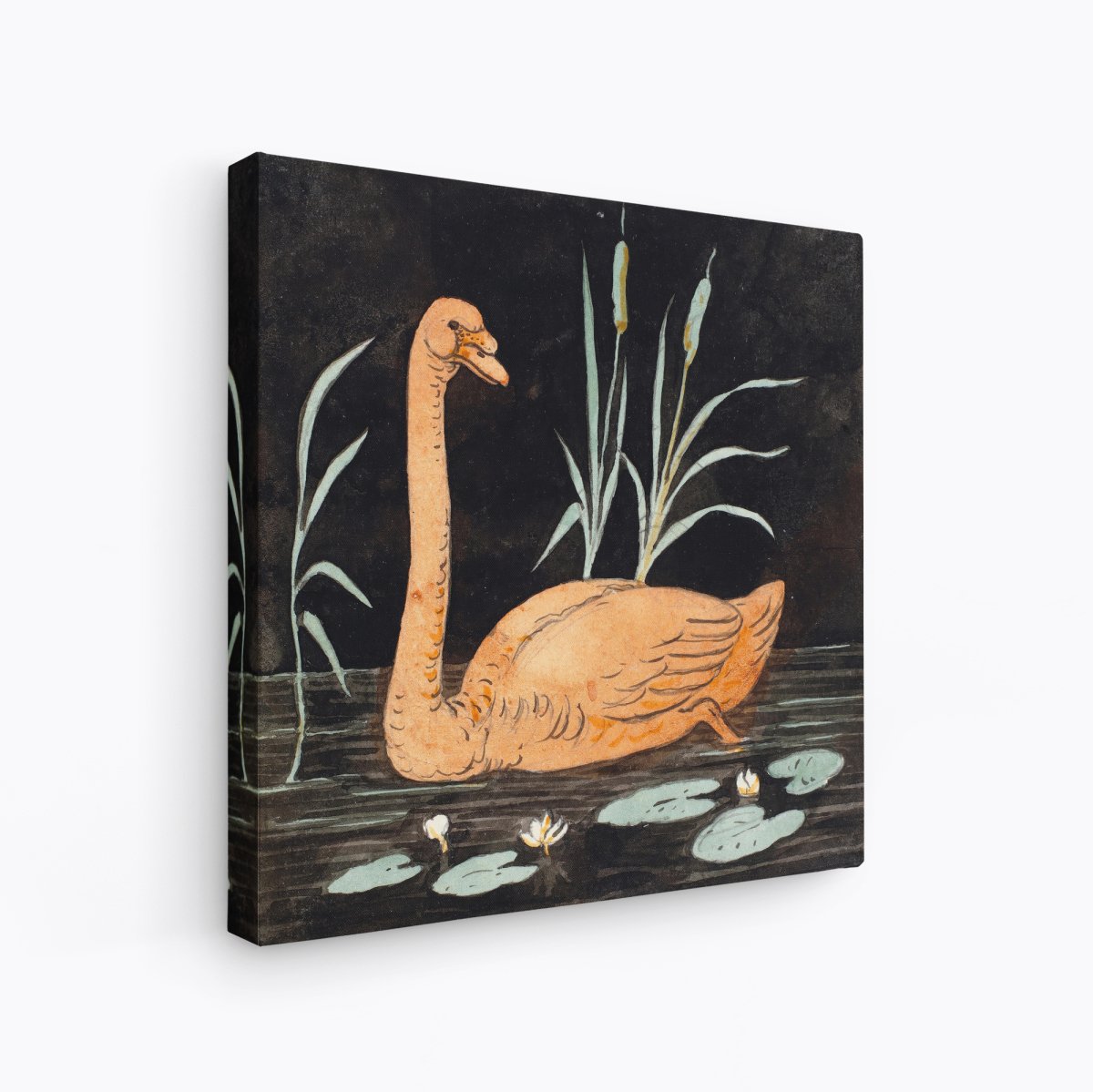 A Swan on a Black Background | P.C. Skovgaard | Ave Legato Art Prints