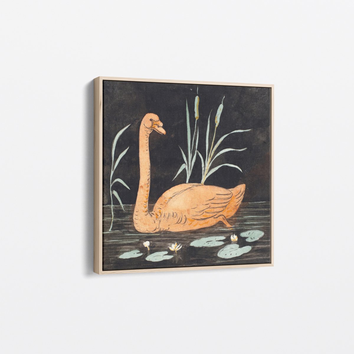 A Swan on a Black Background | P.C. Skovgaard | Ave Legato Art Prints