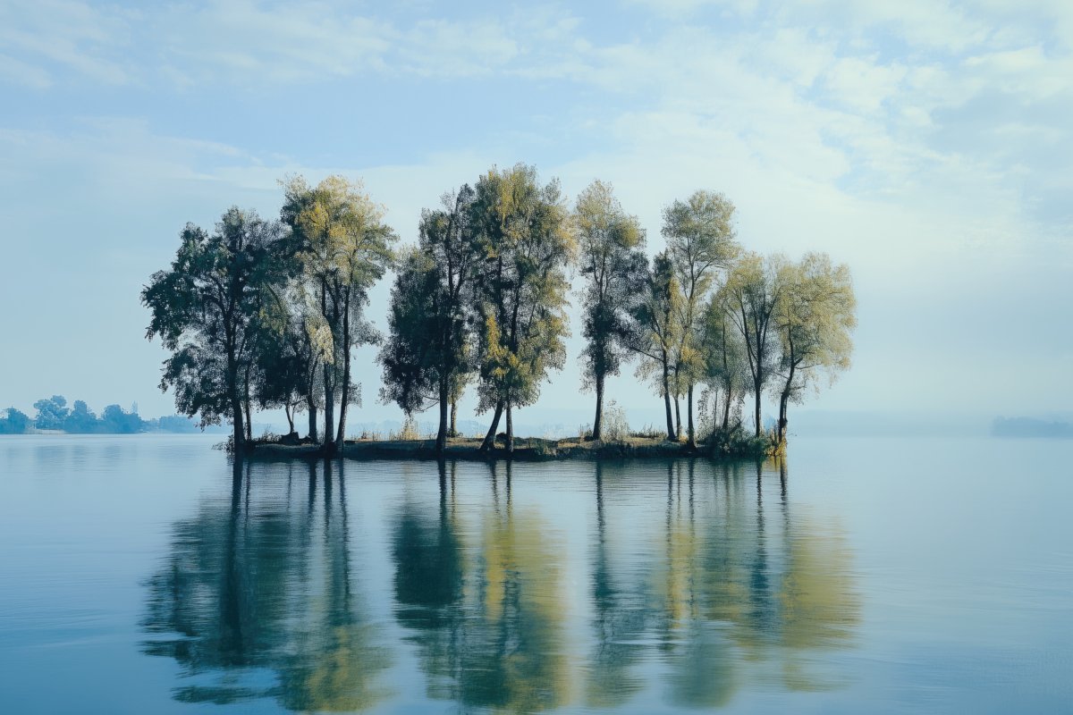 An Isle of Trees | Ave Legato | Ave Legato Art Prints