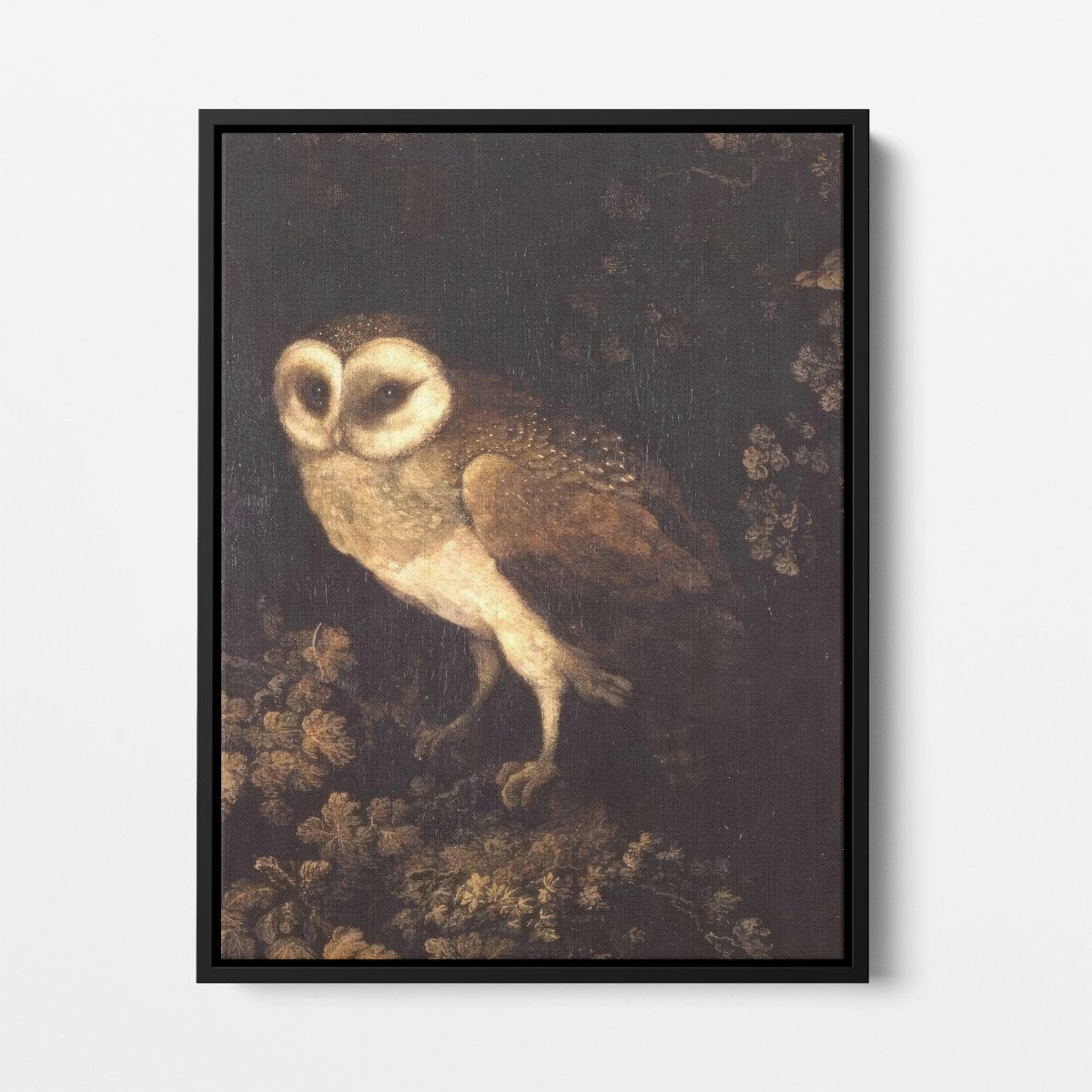 An Owl | Moses Haughton | Ave Legato Art Prints