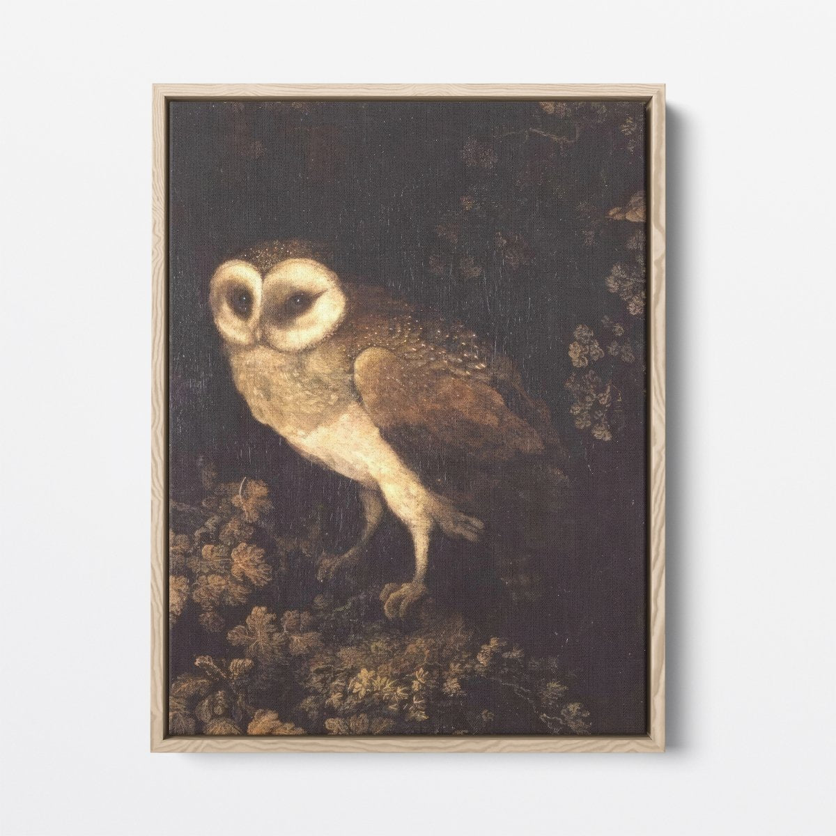 An Owl | Moses Haughton | Ave Legato Art Prints