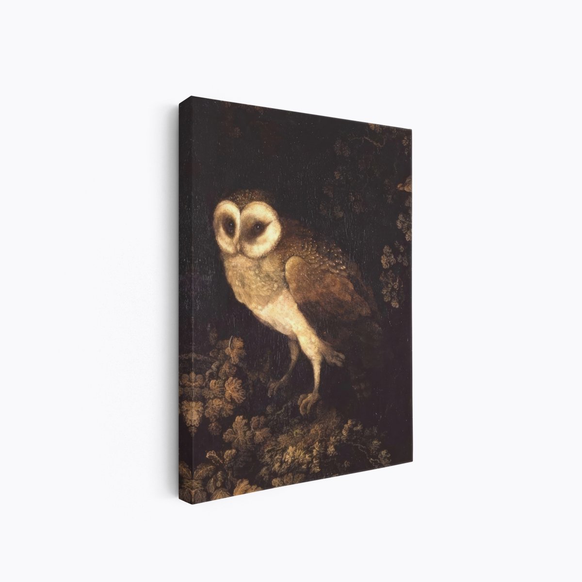 An Owl | Moses Haughton | Ave Legato Art Prints