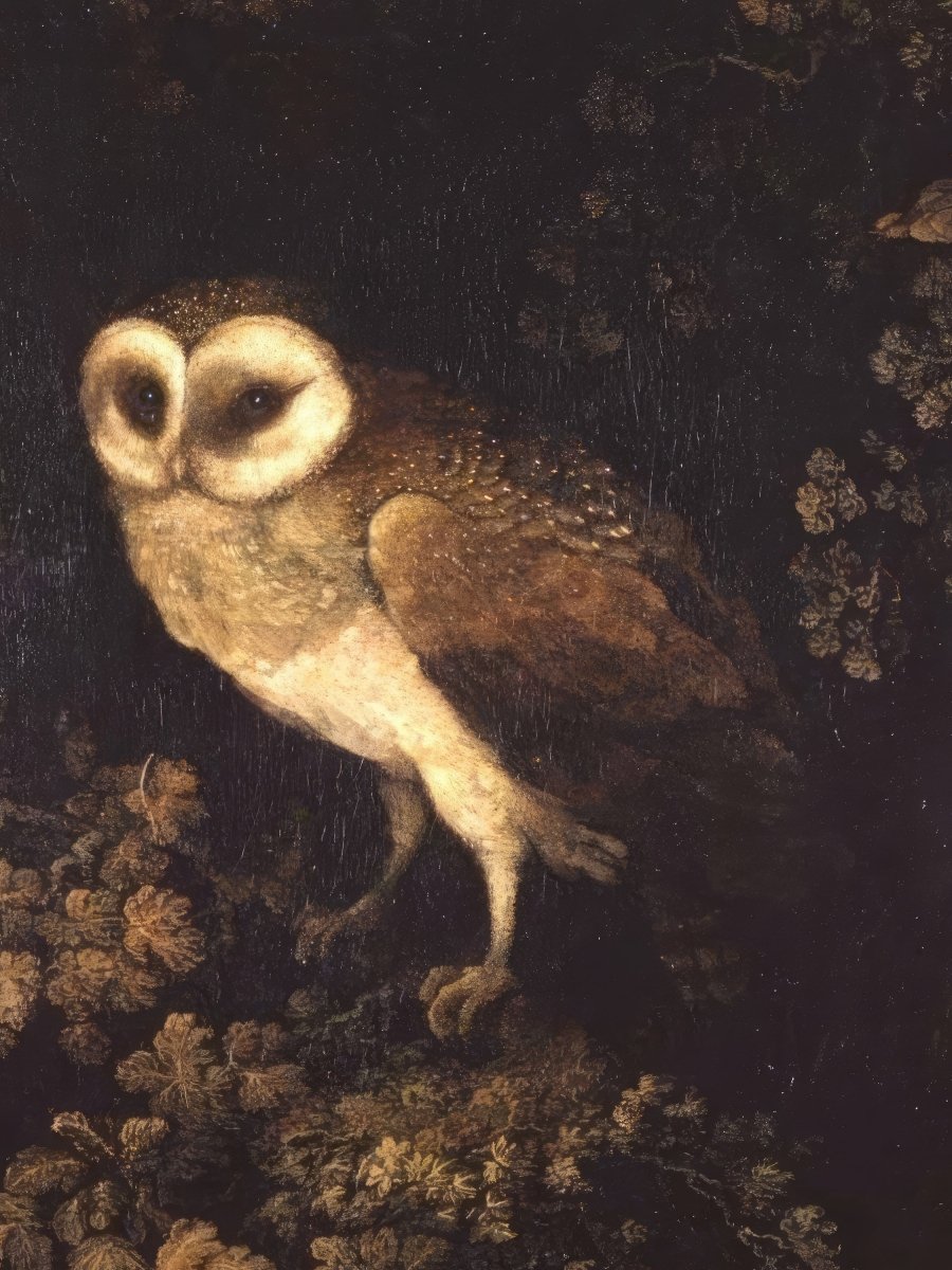 An Owl | Moses Haughton | Ave Legato Art Prints