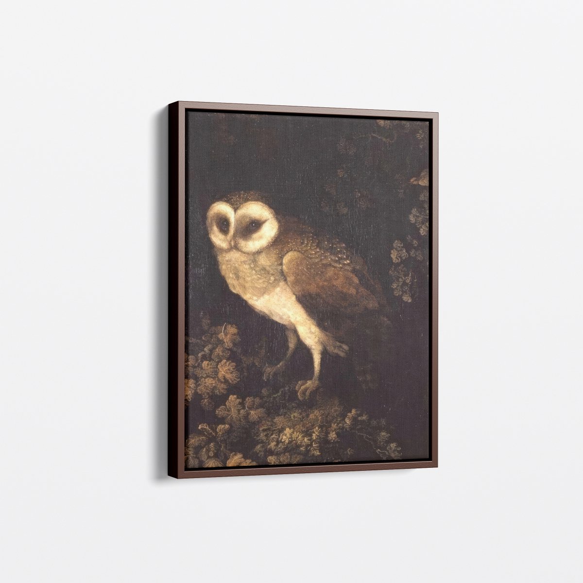 An Owl | Moses Haughton | Ave Legato Art Prints