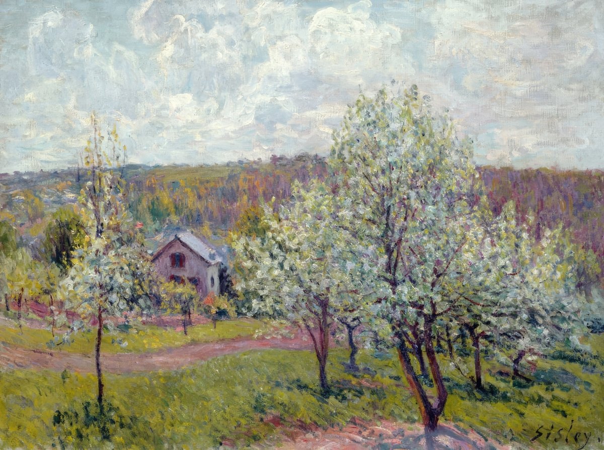 Apple Blossom in Spring | Alfred Sisley | Ave Legato Art Prints