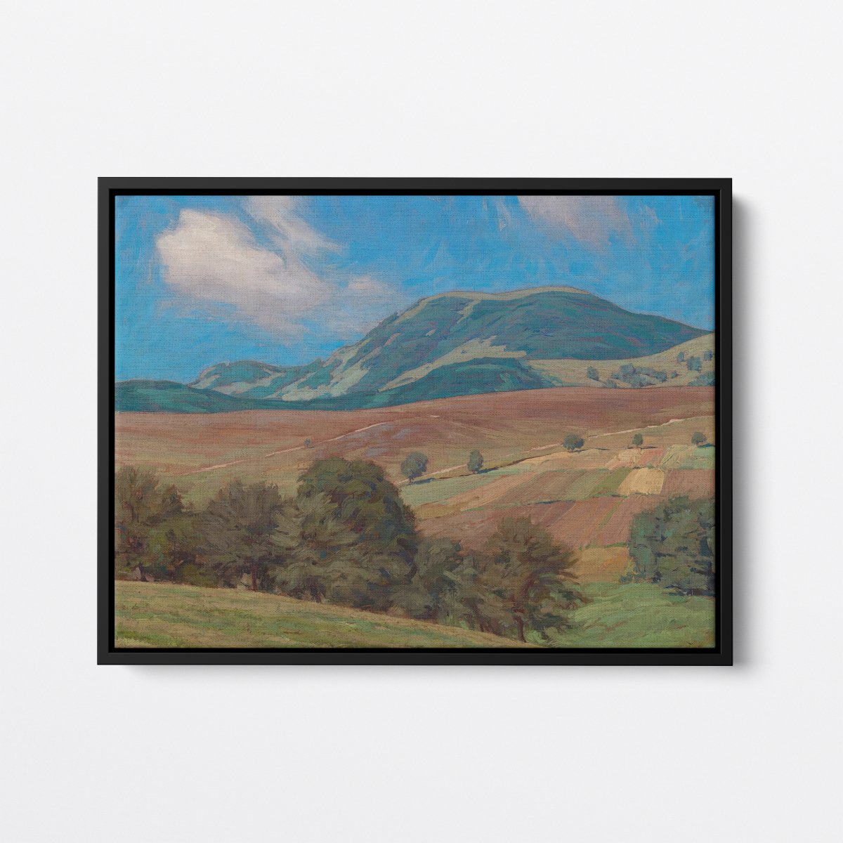 Belchen Mountain | Karl Mutter | Ave Legato Art Prints