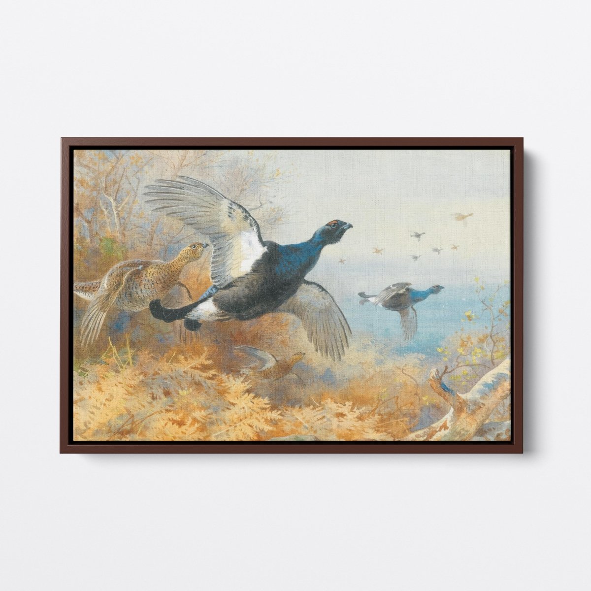 Blackcock Forward | Archibald Thorburn | Ave Legato Art Prints