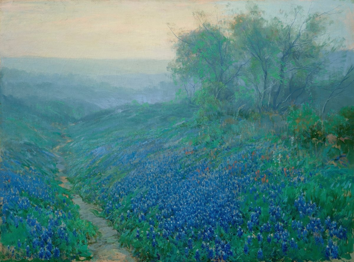 Bluebonnets in Bloom | Julian Onderdonk | Ave Legato Art Prints