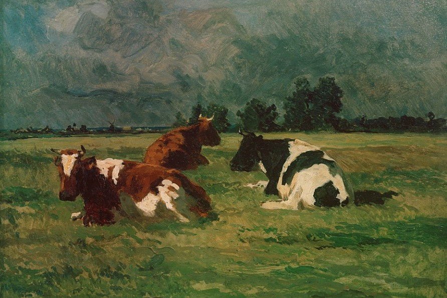 Calves Resting | Thomas Herbst | Ave Legato Art Prints