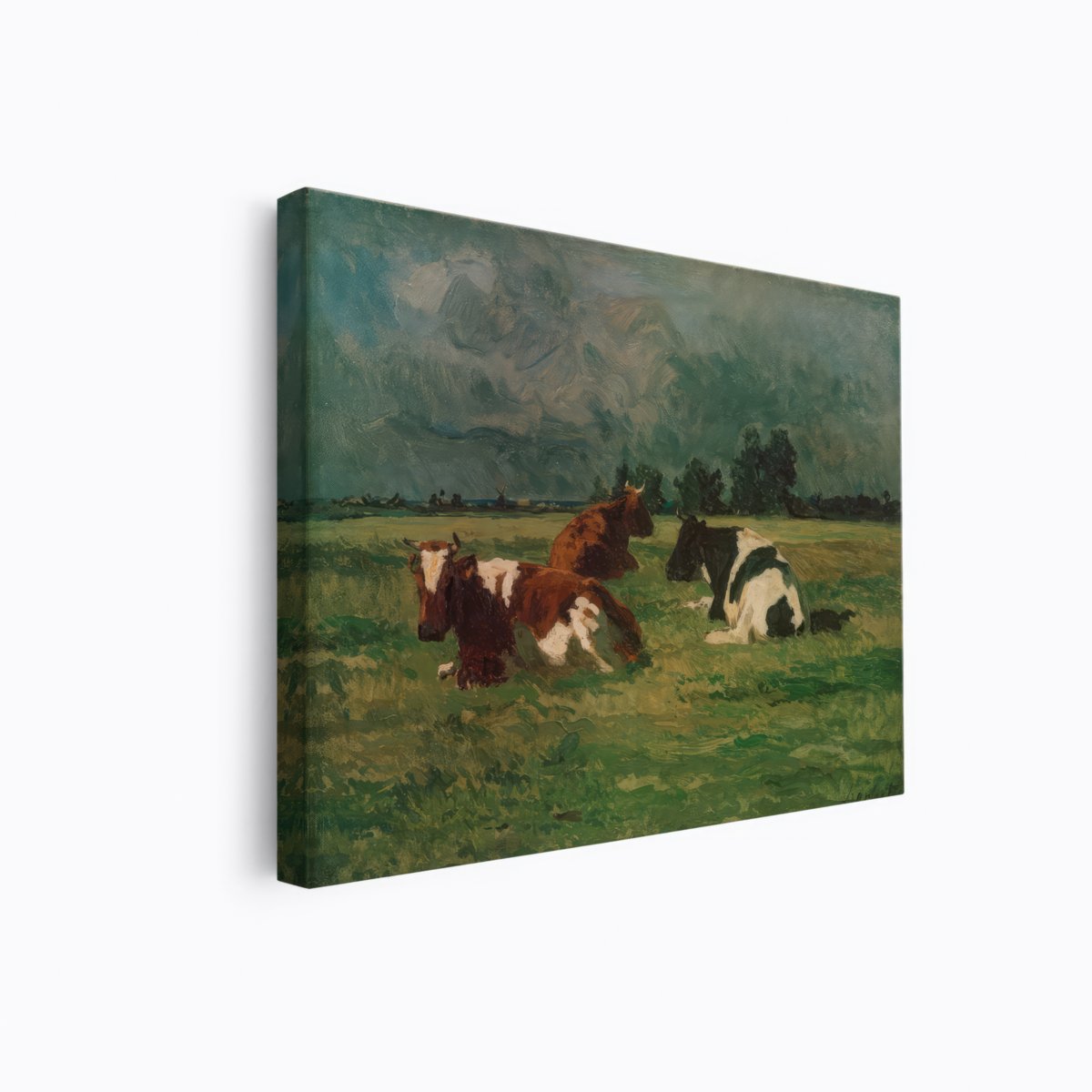 Calves Resting | Thomas Herbst | Ave Legato Art Prints