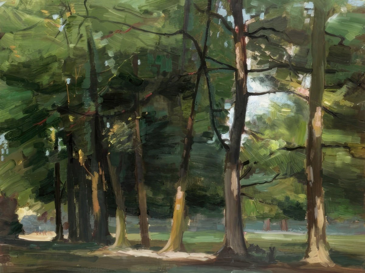 Cedars at Combe Bank, Near Sevenoaks | Arthur Streeton | Ave Legato Art Prints