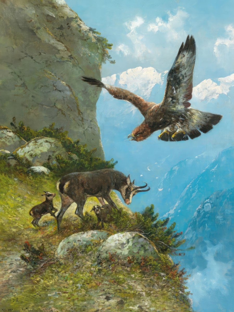 Chamois and Golden Eagle | Moritz Müller | Ave Legato Art Prints