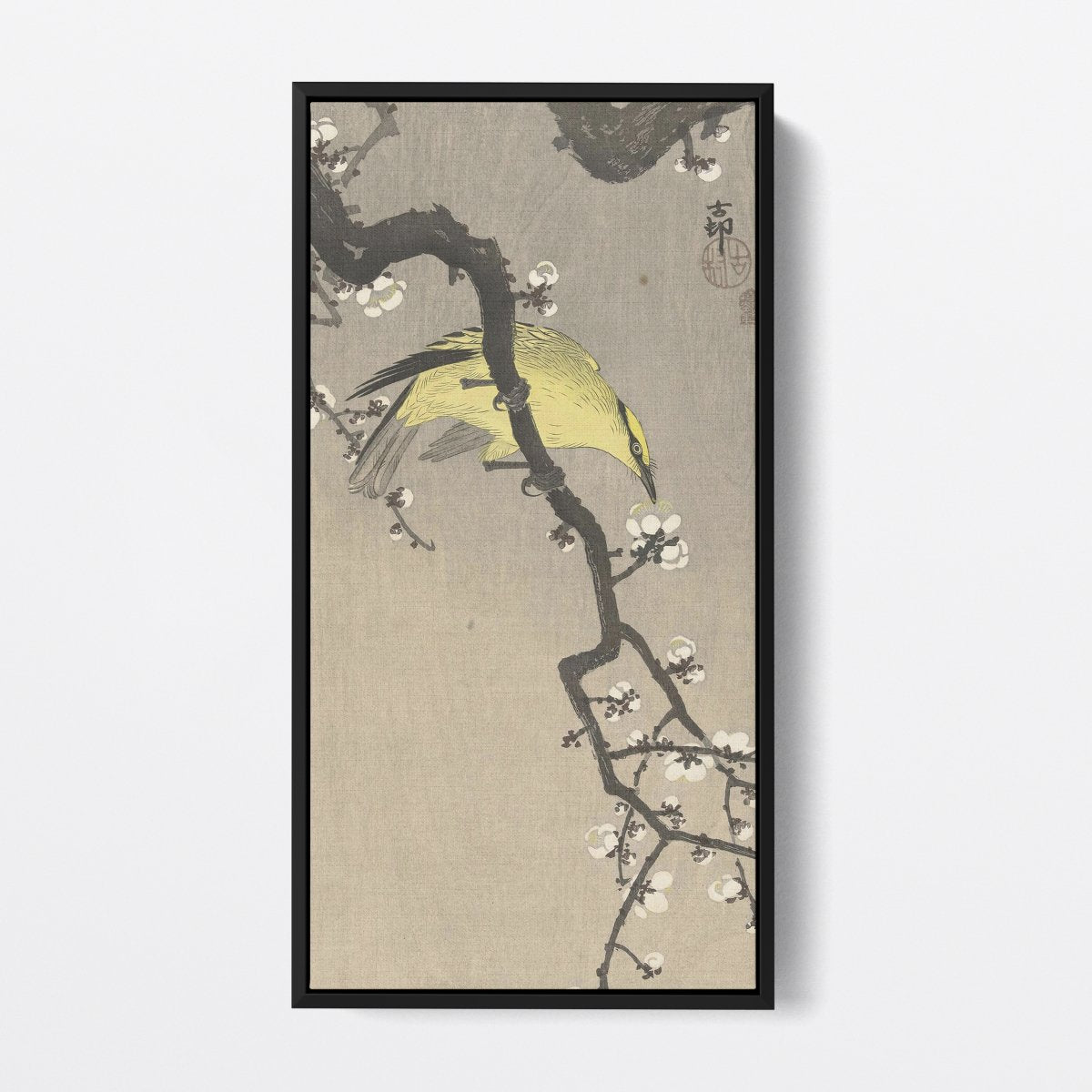 Chinese Wielewaal on Plum Blossom Branch | Ohara Koson | Ave Legato Art Prints