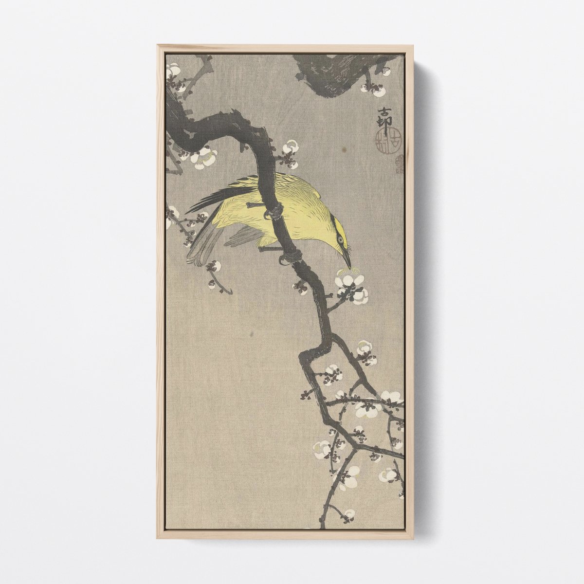 Chinese Wielewaal on Plum Blossom Branch | Ohara Koson | Ave Legato Art Prints