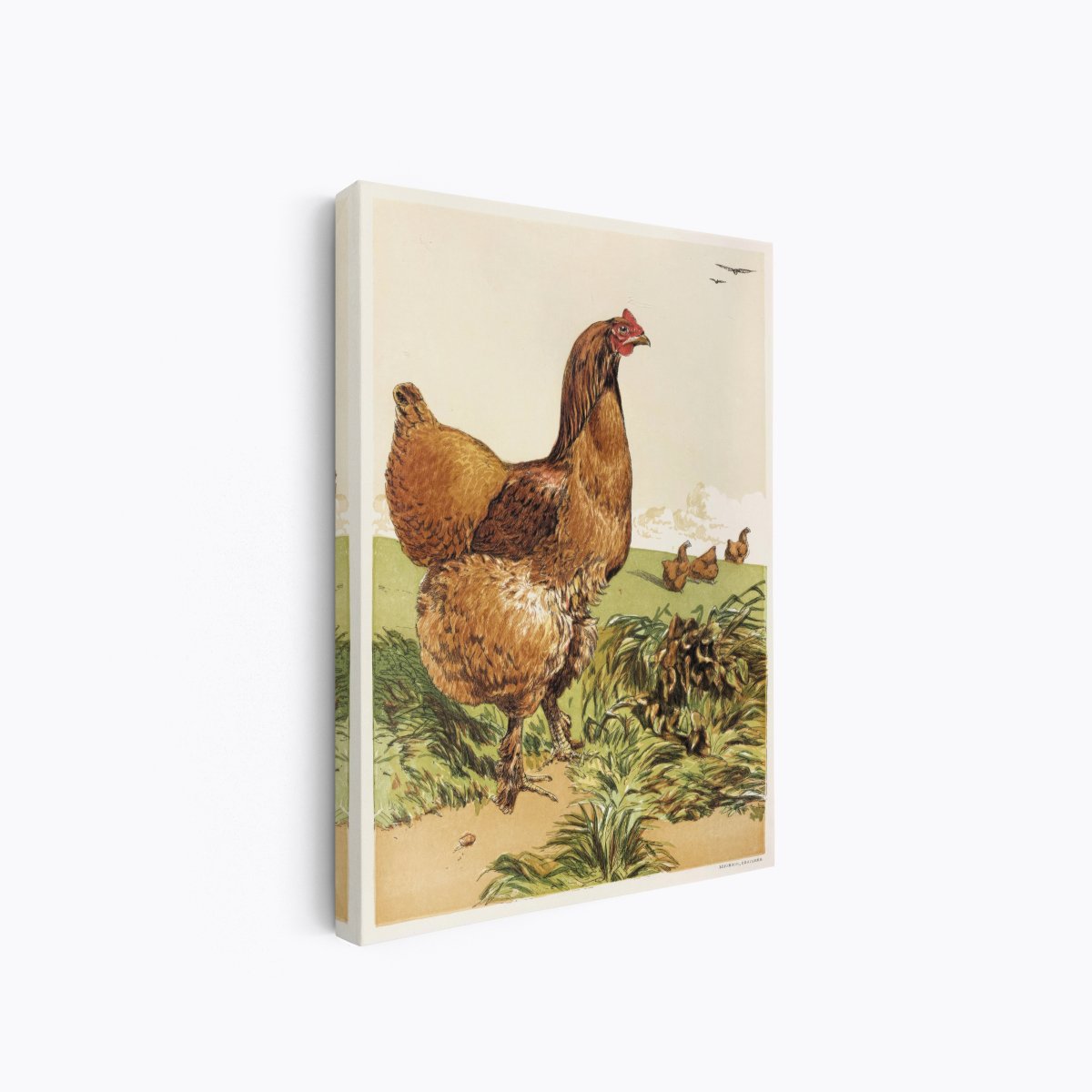 Cinnamon Cochin Hen | Harrison Weir | Ave Legato Art Prints