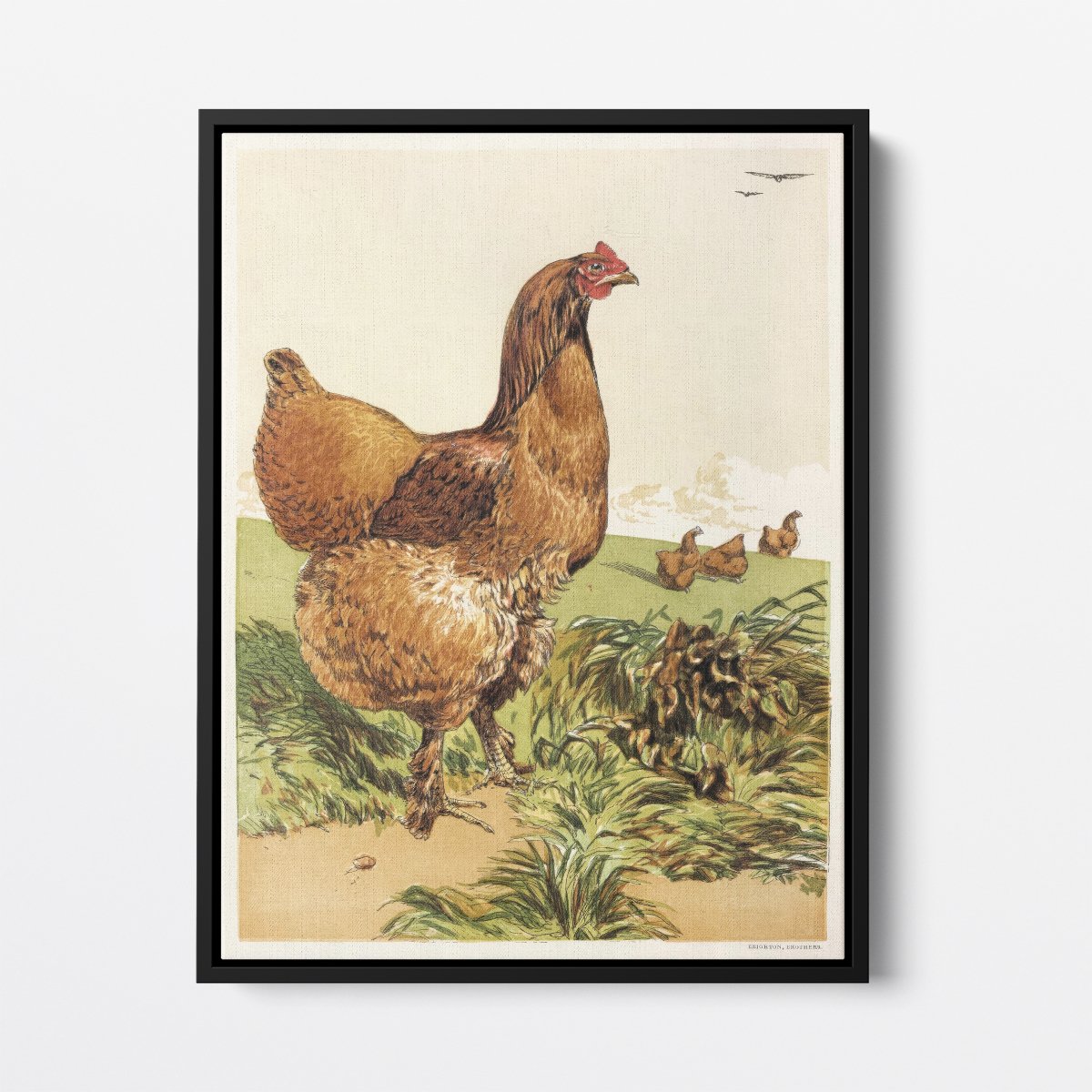 Cinnamon Cochin Hen | Harrison Weir | Ave Legato Art Prints