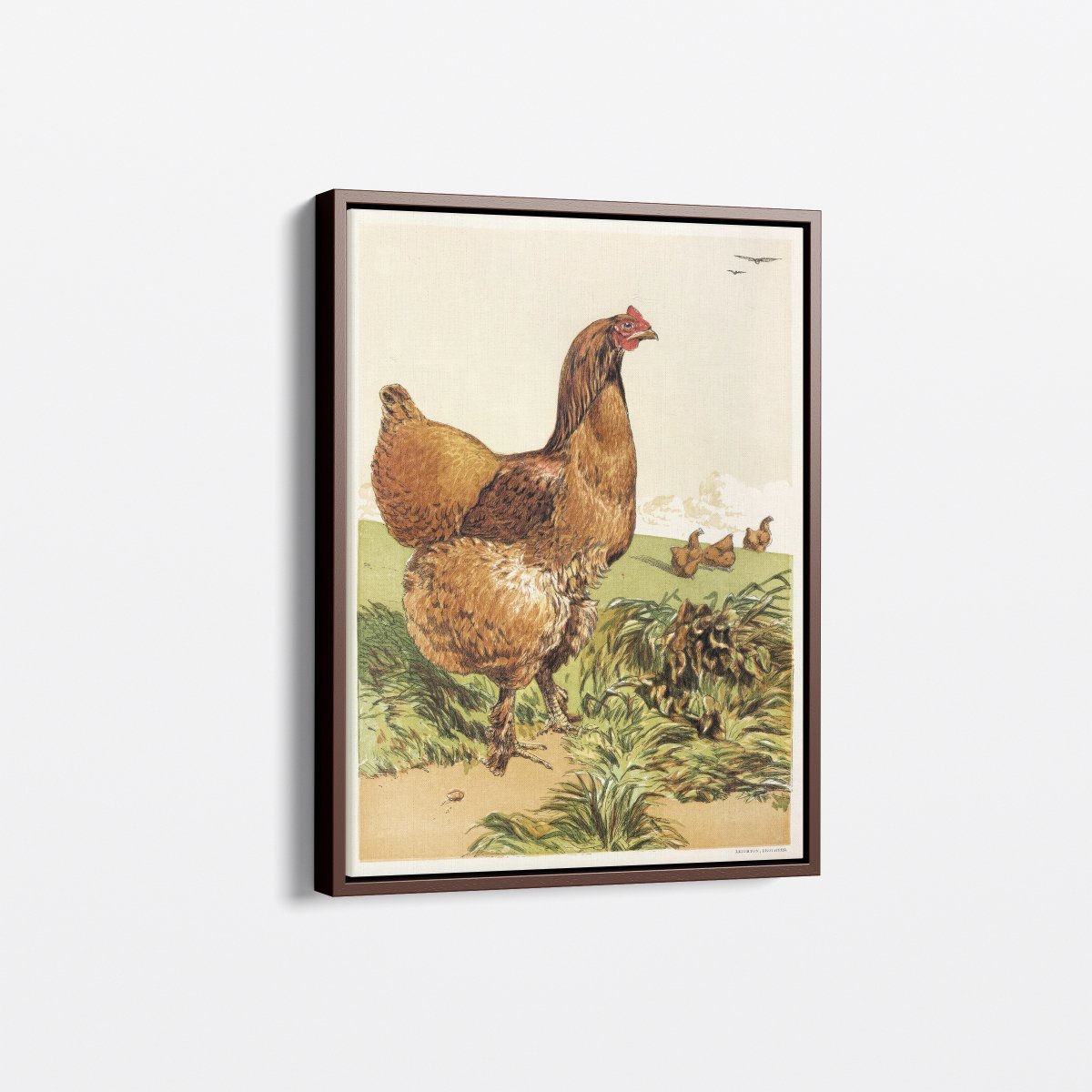 Cinnamon Cochin Hen | Harrison Weir | Ave Legato Art Prints