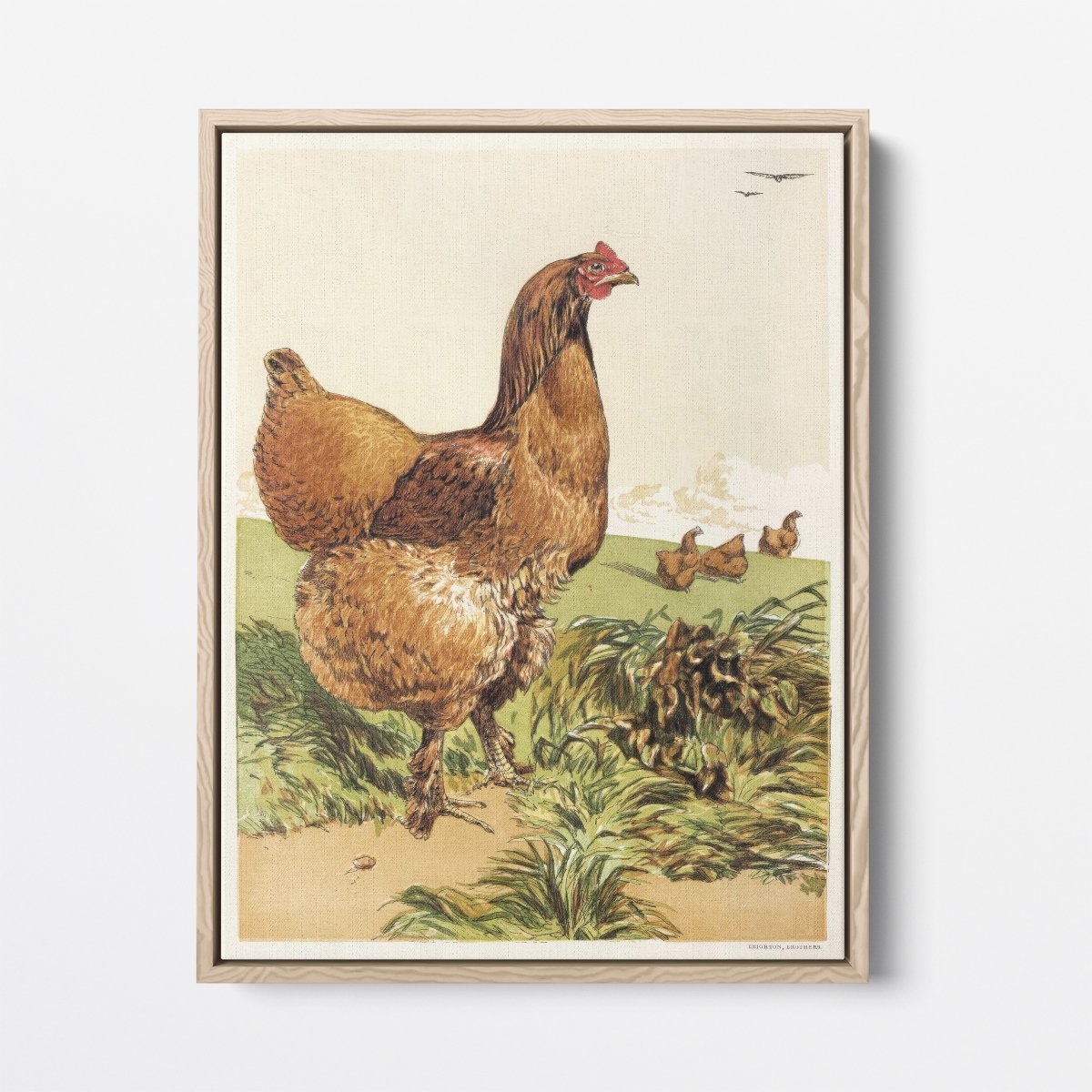 Cinnamon Cochin Hen | Harrison Weir | Ave Legato Art Prints