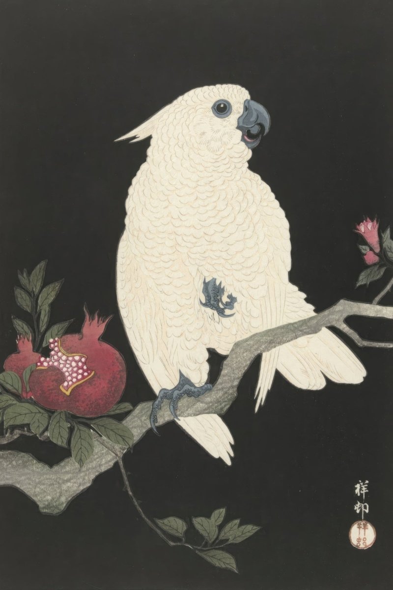 Cockatoo And Pomegranate | Ohara Koson | Ave Legato Art Prints