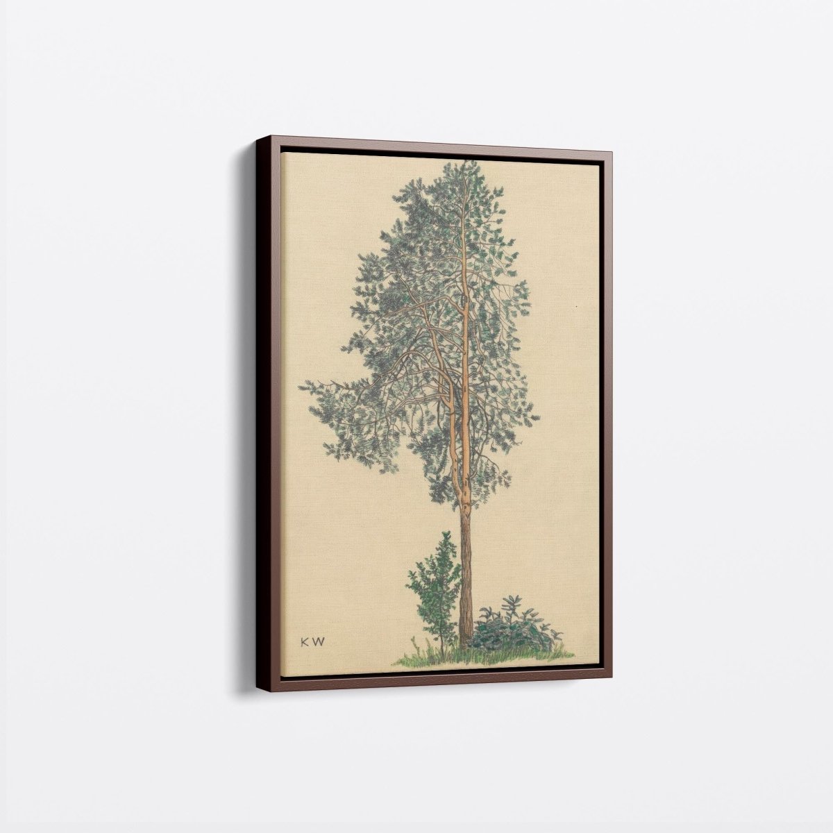 Conifer I | Karl Wiener | Ave Legato Art Prints