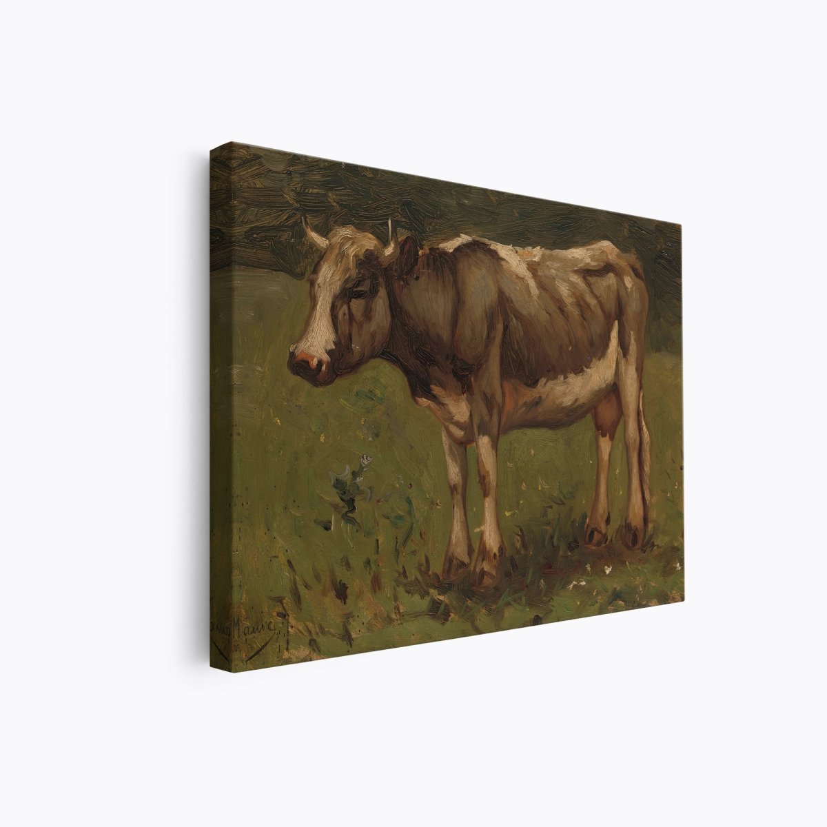 Cow in a Pasture | Anton Mauve | Ave Legato Art Prints