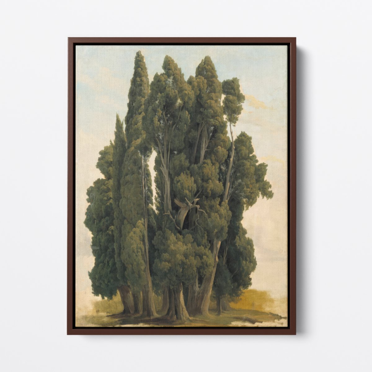 Cypresses, Study | Gustaf Palm | Ave Legato Art Prints