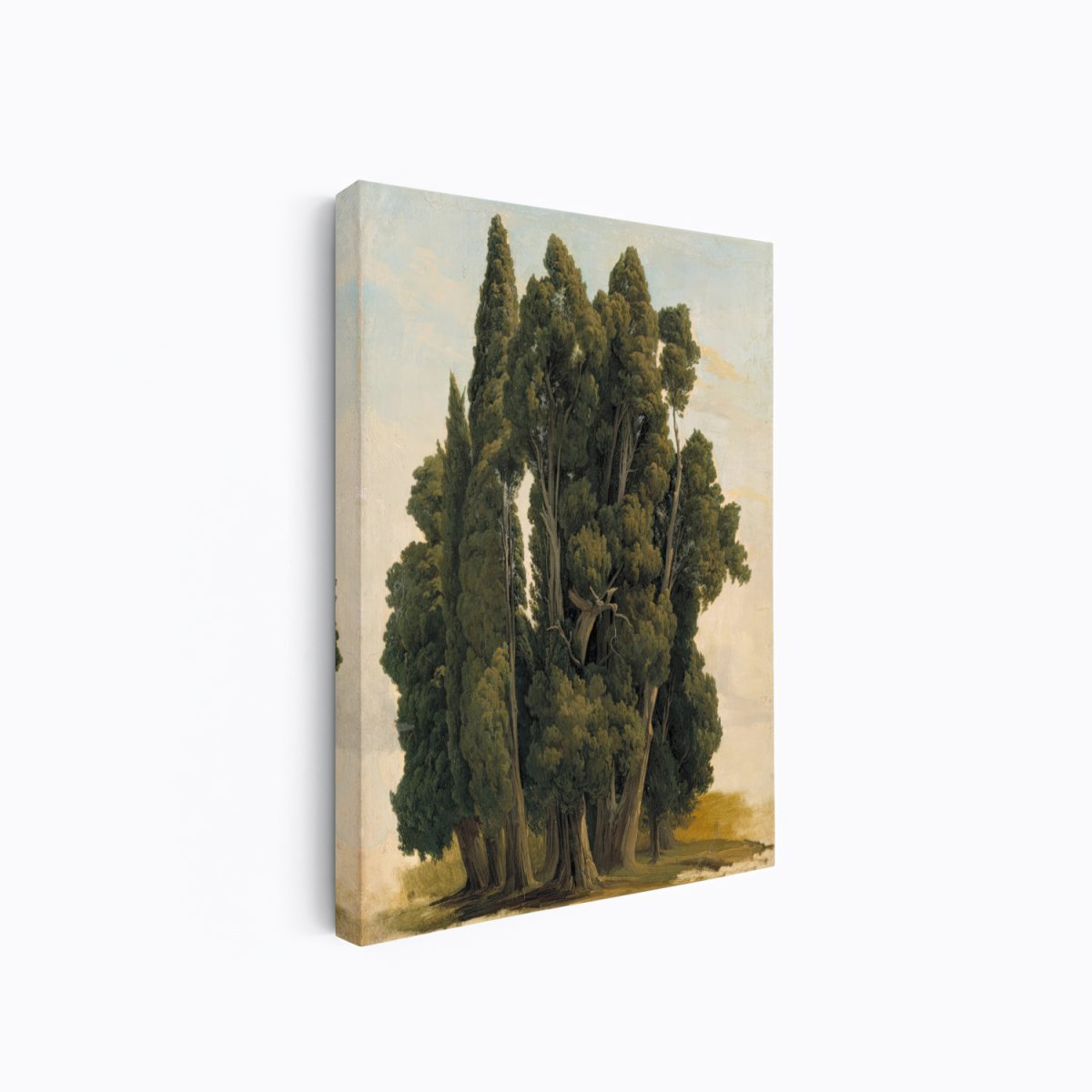 Cypresses, Study | Gustaf Palm | Ave Legato Art Prints