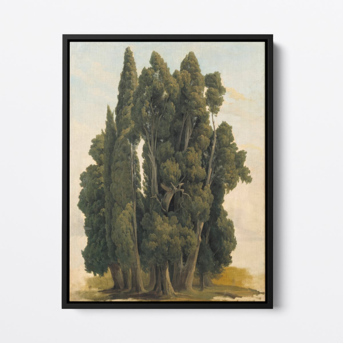 Cypresses, Study | Gustaf Palm | Ave Legato Art Prints