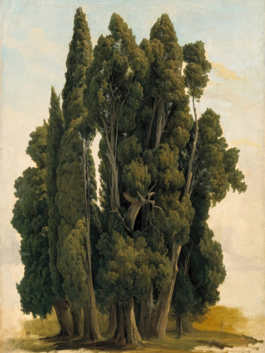 Cypresses, Study | Gustaf Palm | Ave Legato Art Prints