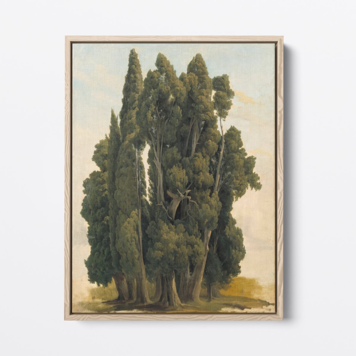 Cypresses, Study | Gustaf Palm | Ave Legato Art Prints