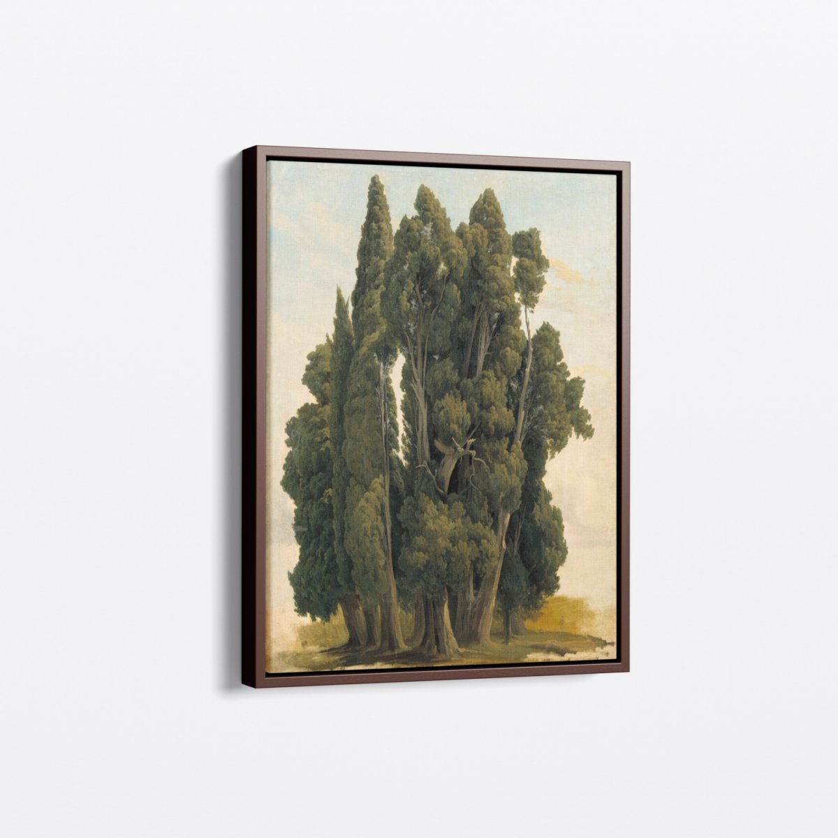 Cypresses, Study | Gustaf Palm | Ave Legato Art Prints