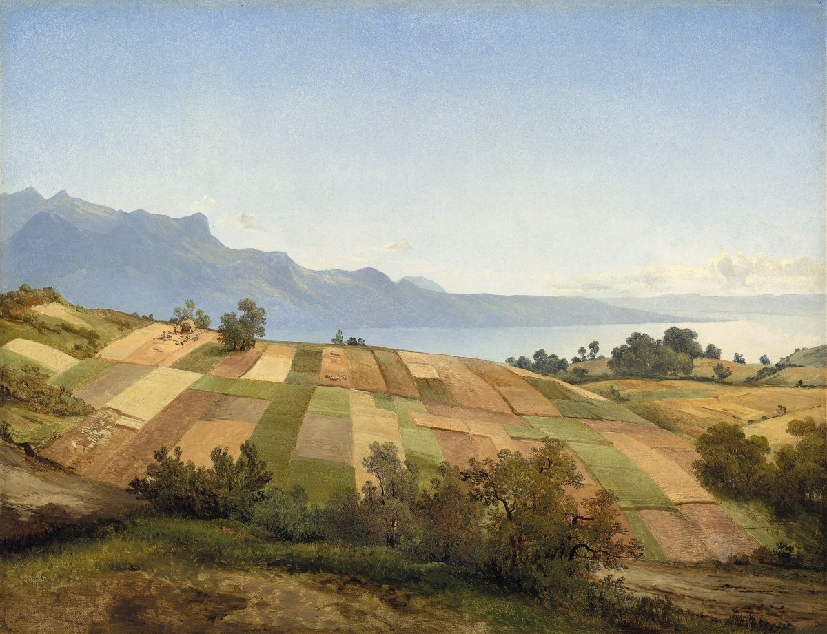 Dakota Wheat Fields | Alexandre Calame | Ave Legato Art Prints