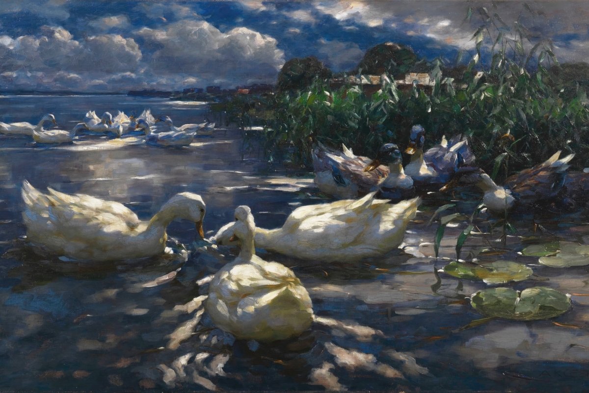 Ducks at the Shore | Alexander Koester | Ave Legato Art Prints