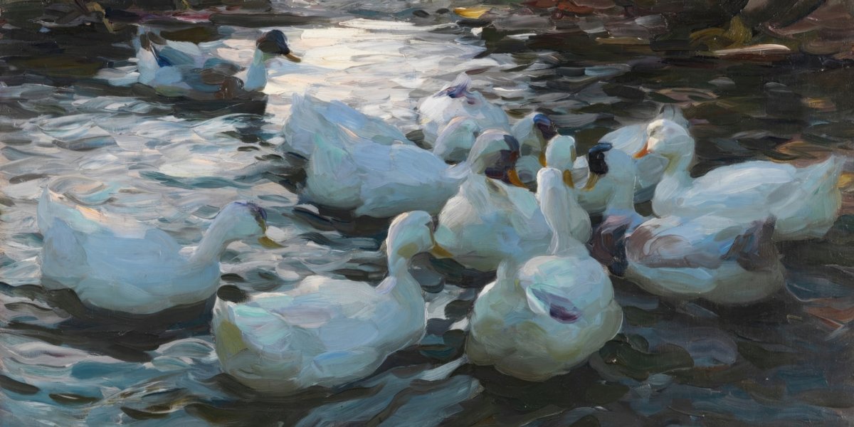 Ducks Feeding | Alexander Koester | Ave Legato Art Prints