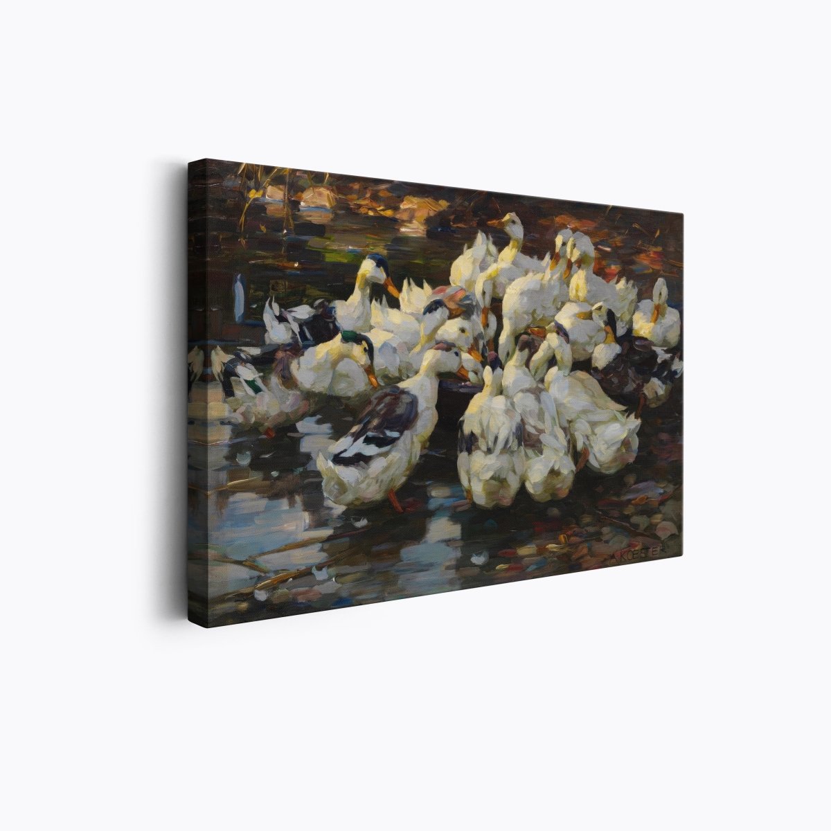 Ducks Feeding II | Alexander Koester | Ave Legato Art Prints