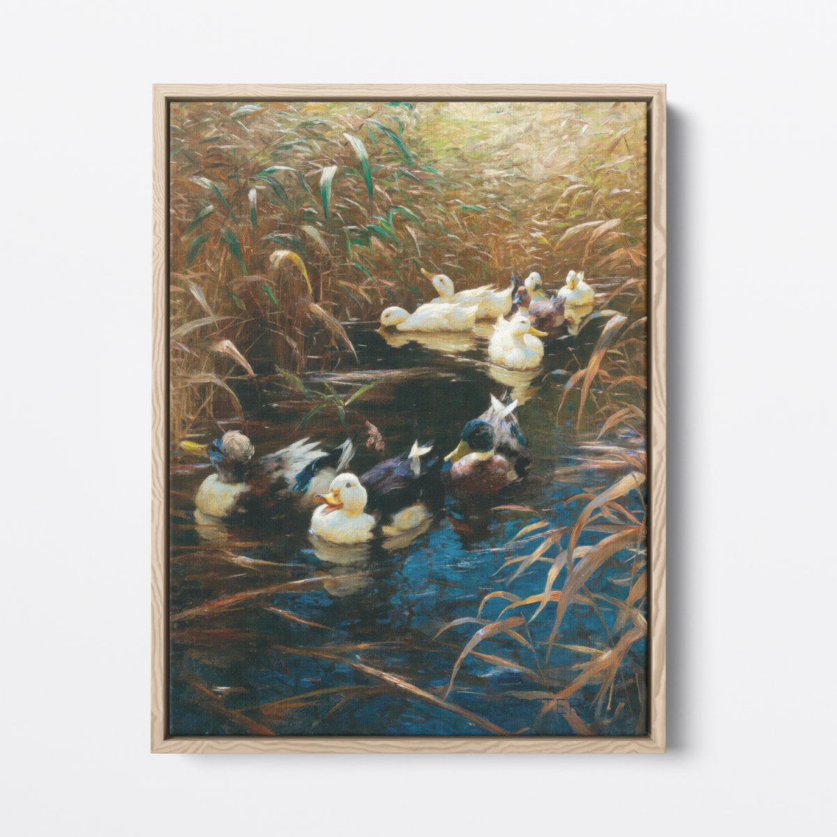 Ducks in Autumn Reeds | Alexander Koester | Ave Legato Art Prints