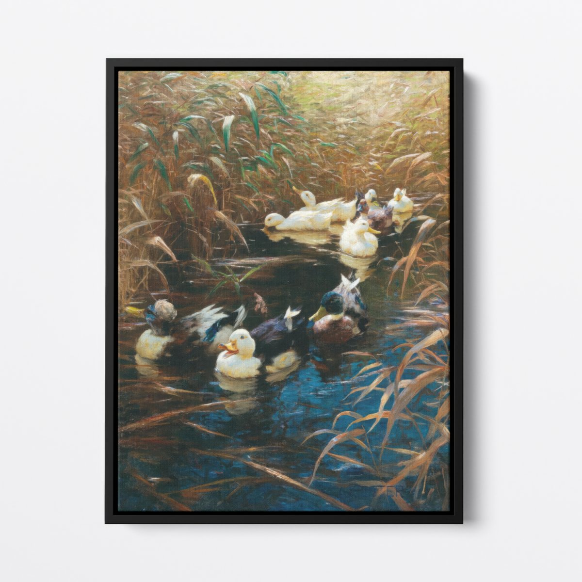 Ducks in Autumn Reeds | Alexander Koester | Ave Legato Art Prints