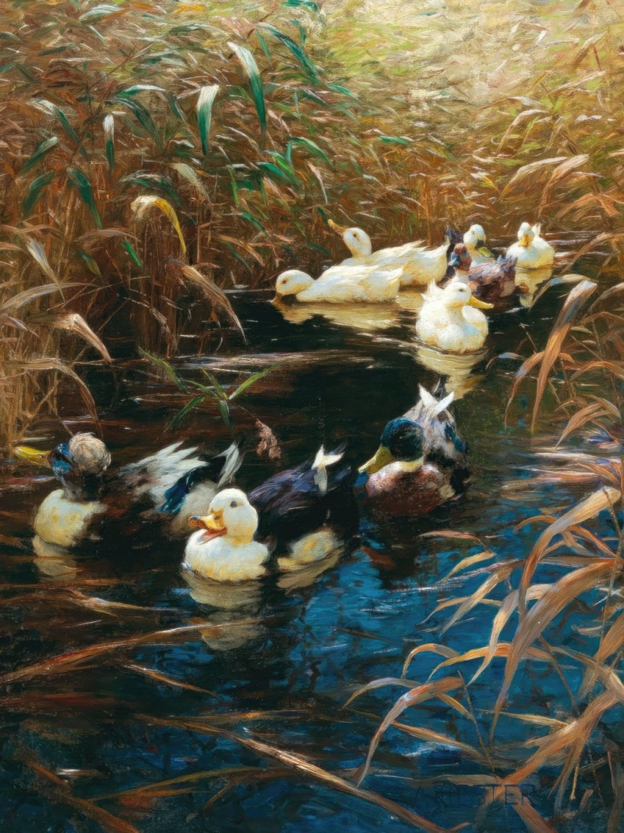 Ducks in Autumn Reeds | Alexander Koester | Ave Legato Art Prints