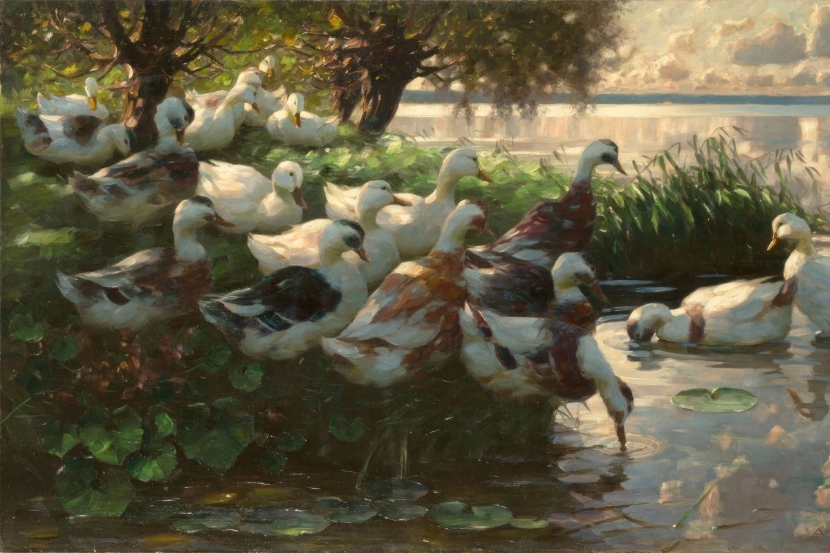 Ducks in Sunlight | Alexander Koester | Ave Legato Art Prints