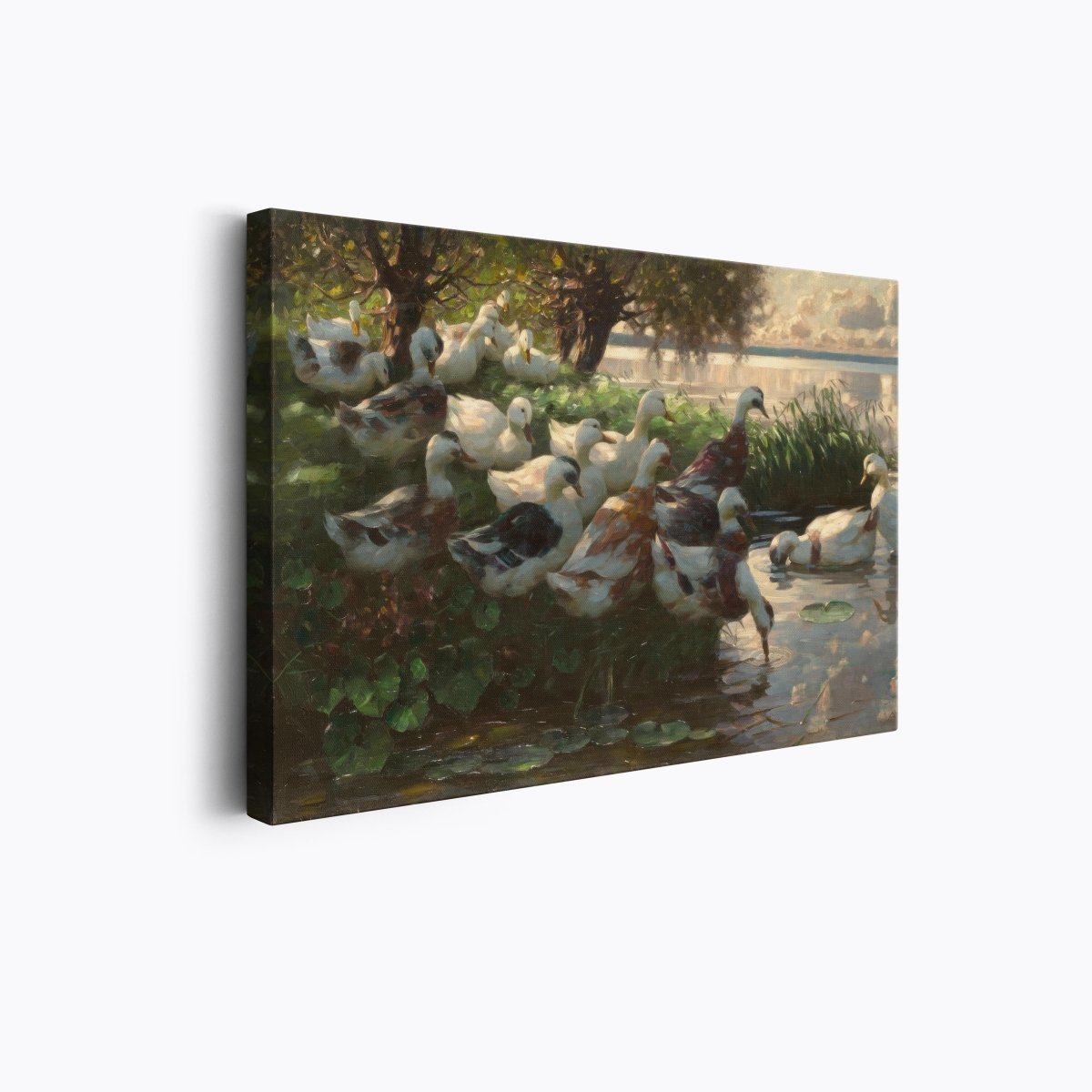 Ducks in Sunlight | Alexander Koester | Ave Legato Art Prints