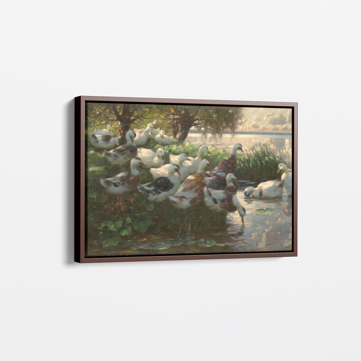 Ducks in Sunlight | Alexander Koester | Ave Legato Art Prints